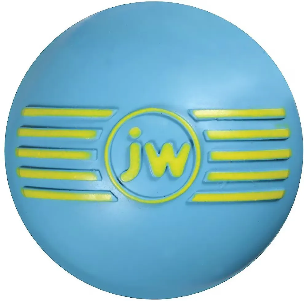 I-Squeak Ball