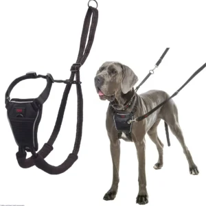 HALTI No Pull Harness - Black/Red
