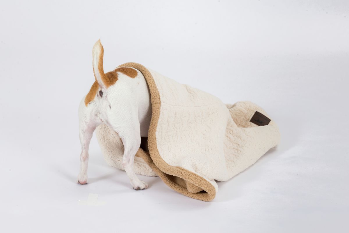 3-in-1 Burrow Bed - Cream