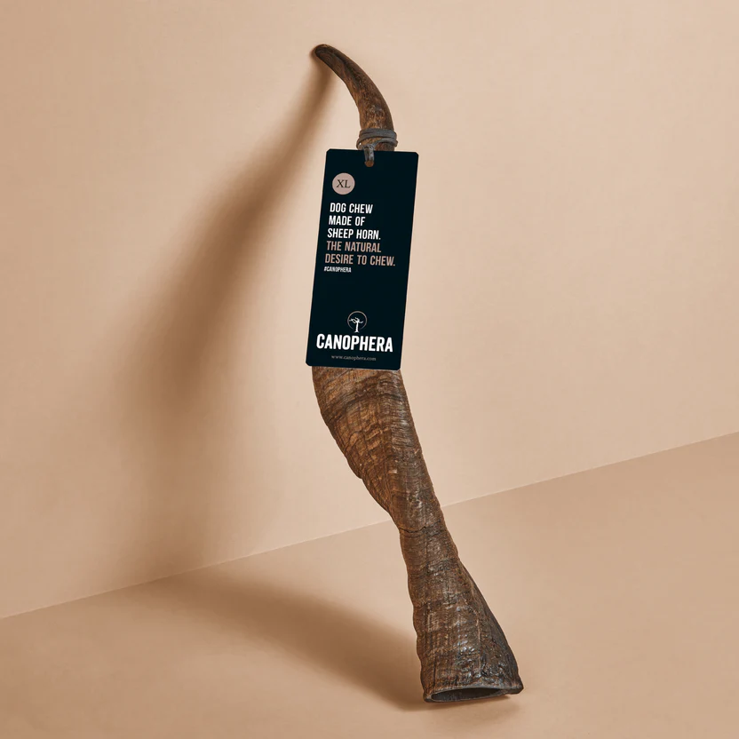 Sheep Horn Chew