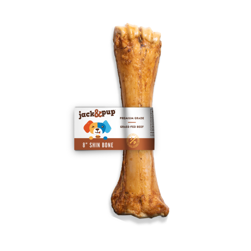 Shin Bone (Banded)