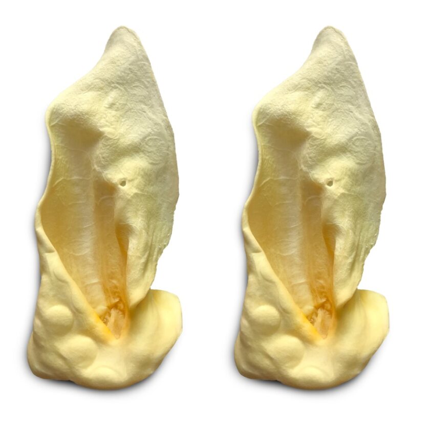 Cow Ears - White (Bulk)