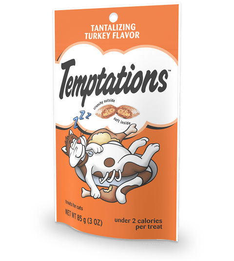 Tantalizing Turkey Flavor