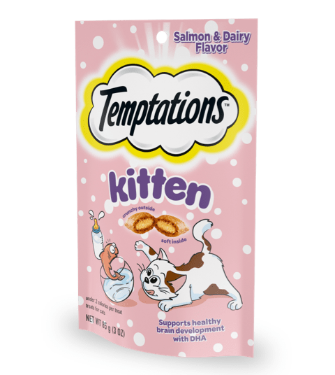 Kitten Salmon & Dairy Flavor
