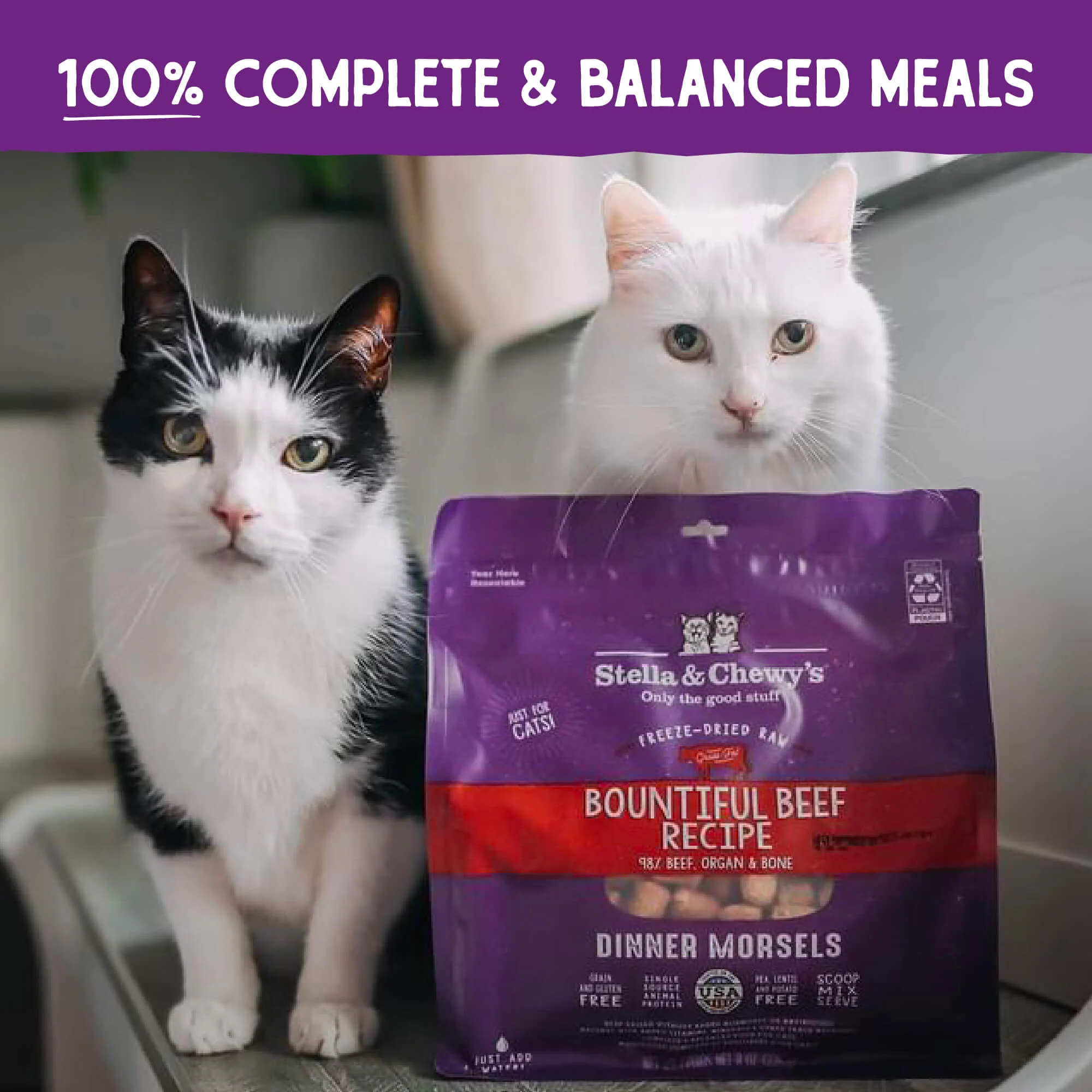 Freeze Dried Bountiful Beef Dinner Morsels