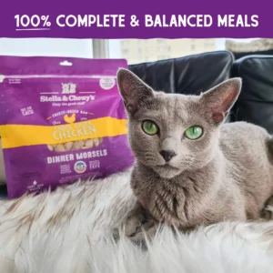 Freeze Dried Chick, Chick Chicken Dinner
