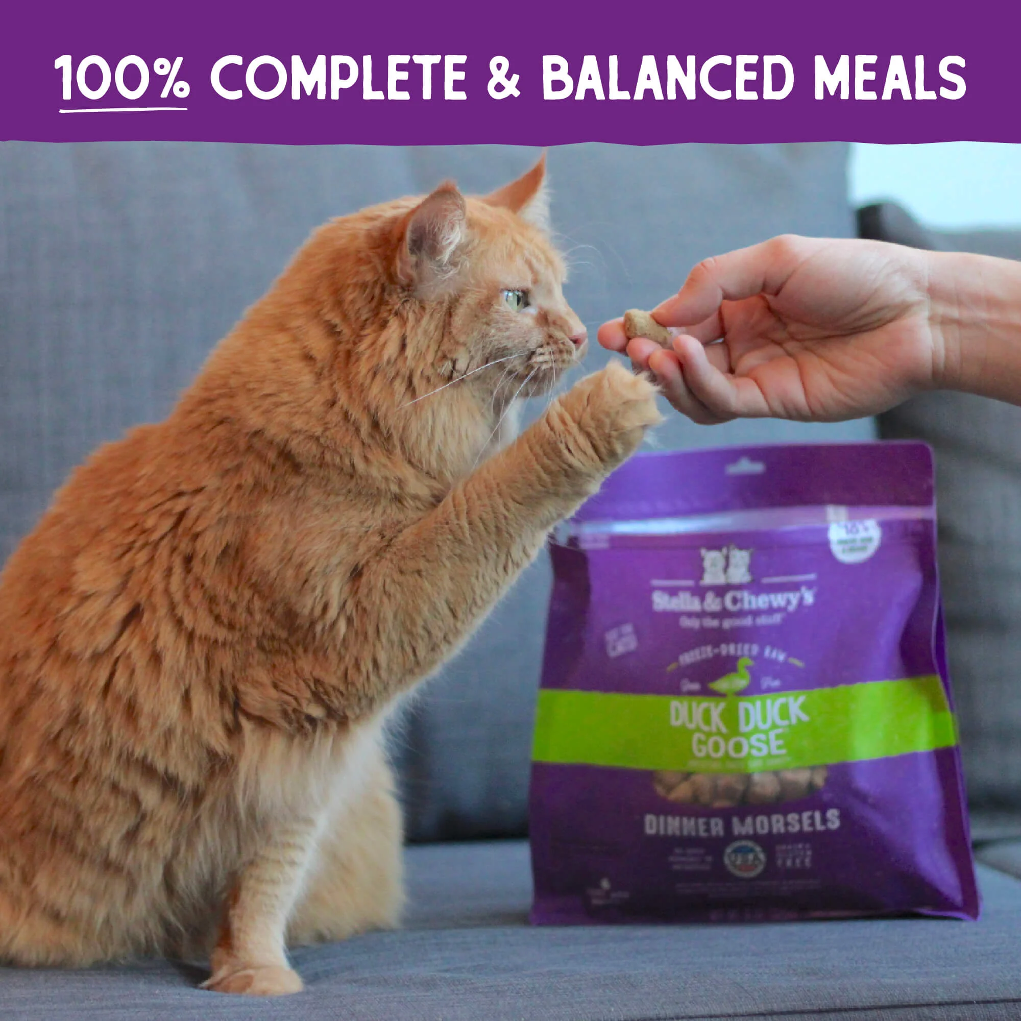 Freeze Dried Duck Duck Goose Dinner
