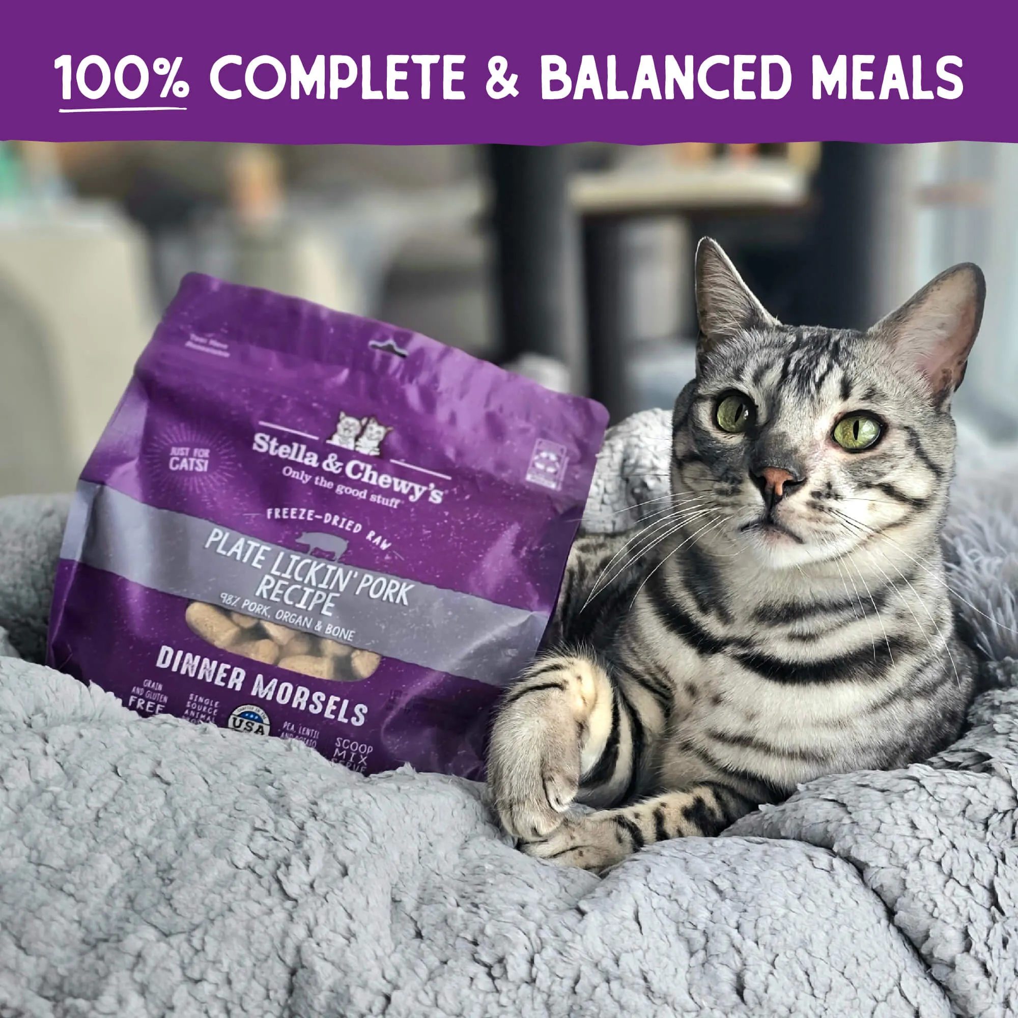 Freeze Dried Plate Lickin' Pork Dinner