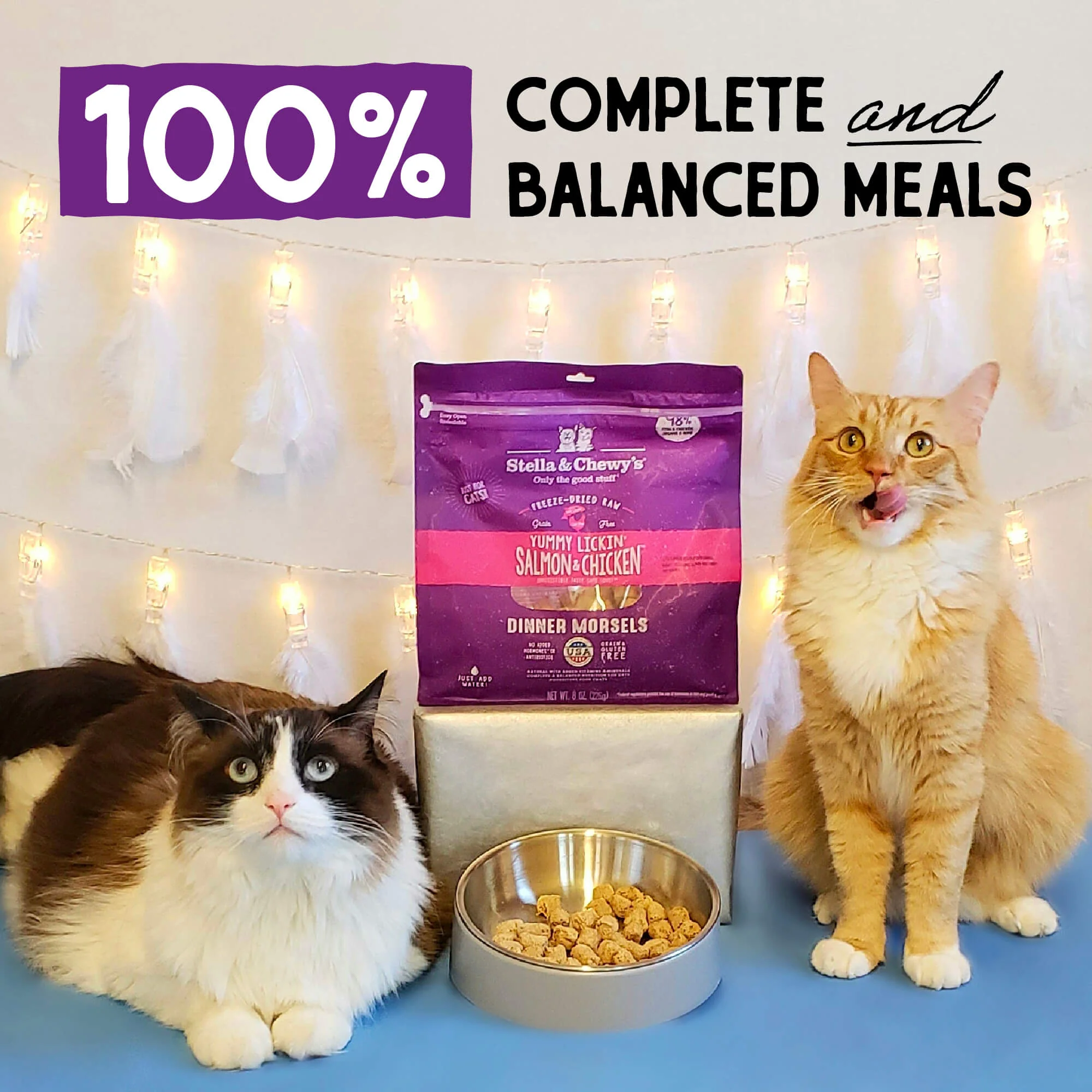 Freeze Dried Yummy Lickin' Salmon & Chicken Dinner