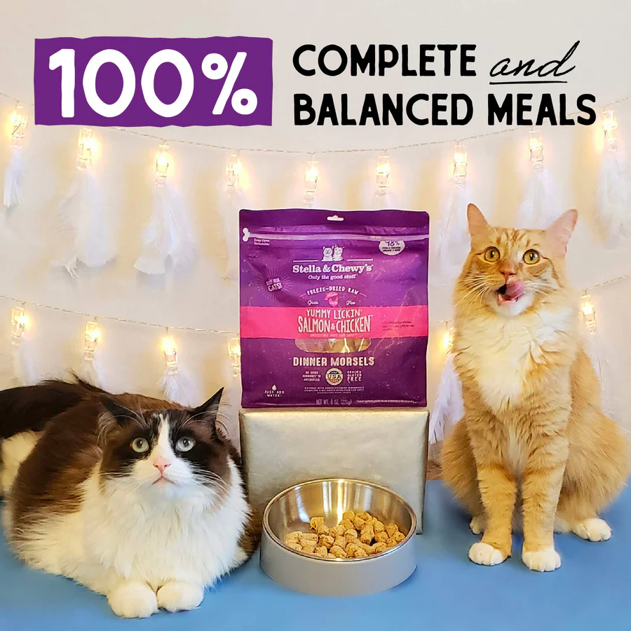 Freeze Dried Yummy Lickin' Salmon & Chicken Dinner