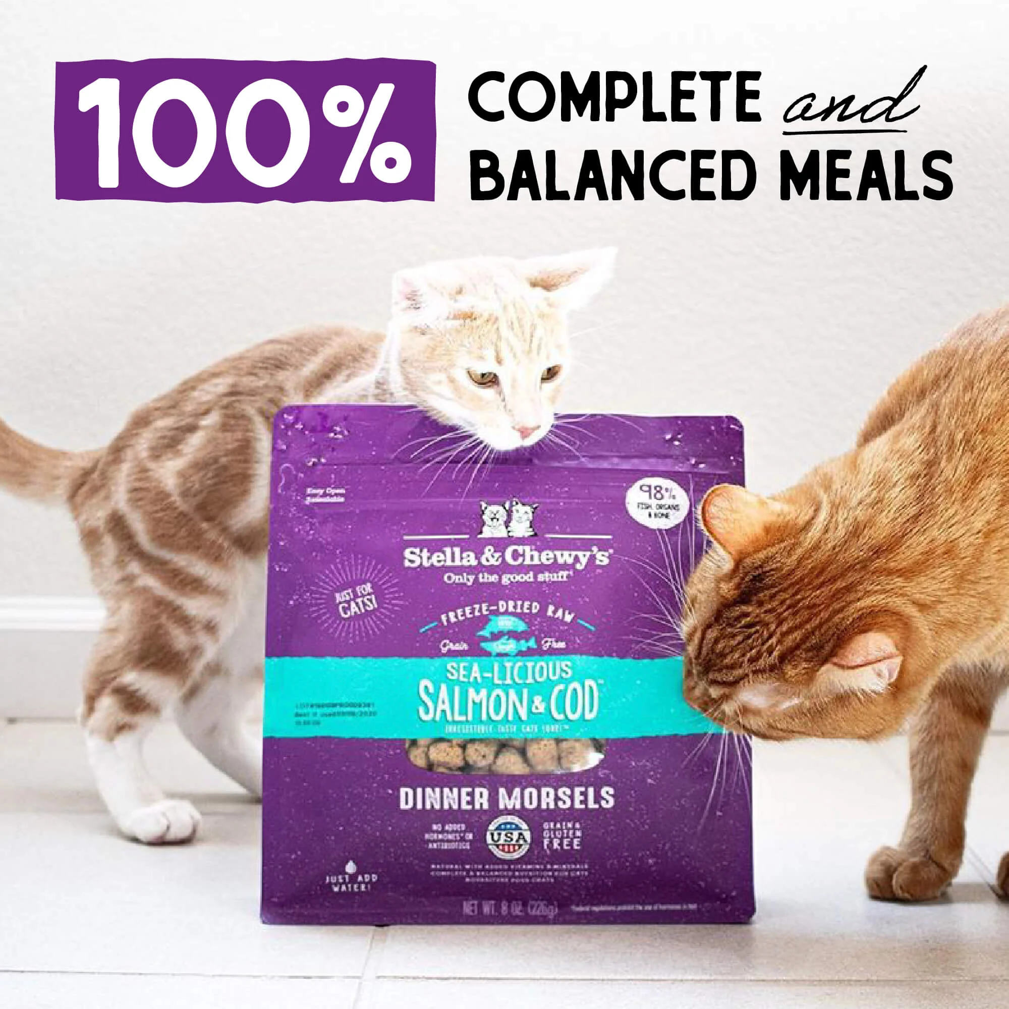 Freeze Dried Sea-Licious Salmon & Cod Dinner