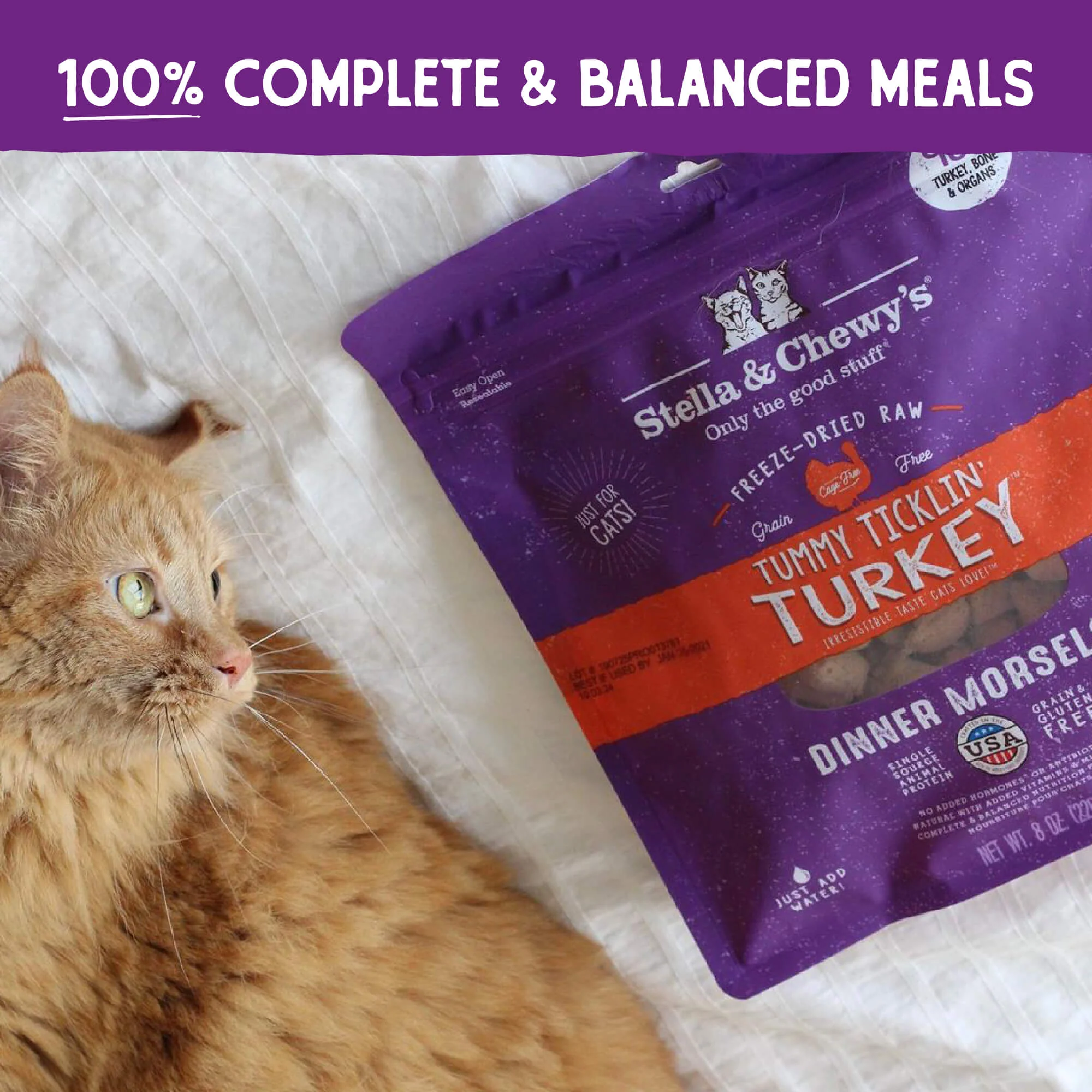 Freeze Dried Tummy Ticklin' Turkey Dinner