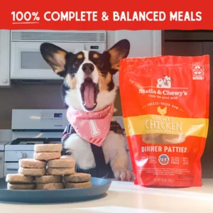 Freeze Dried Chewy's Chicken Dinner