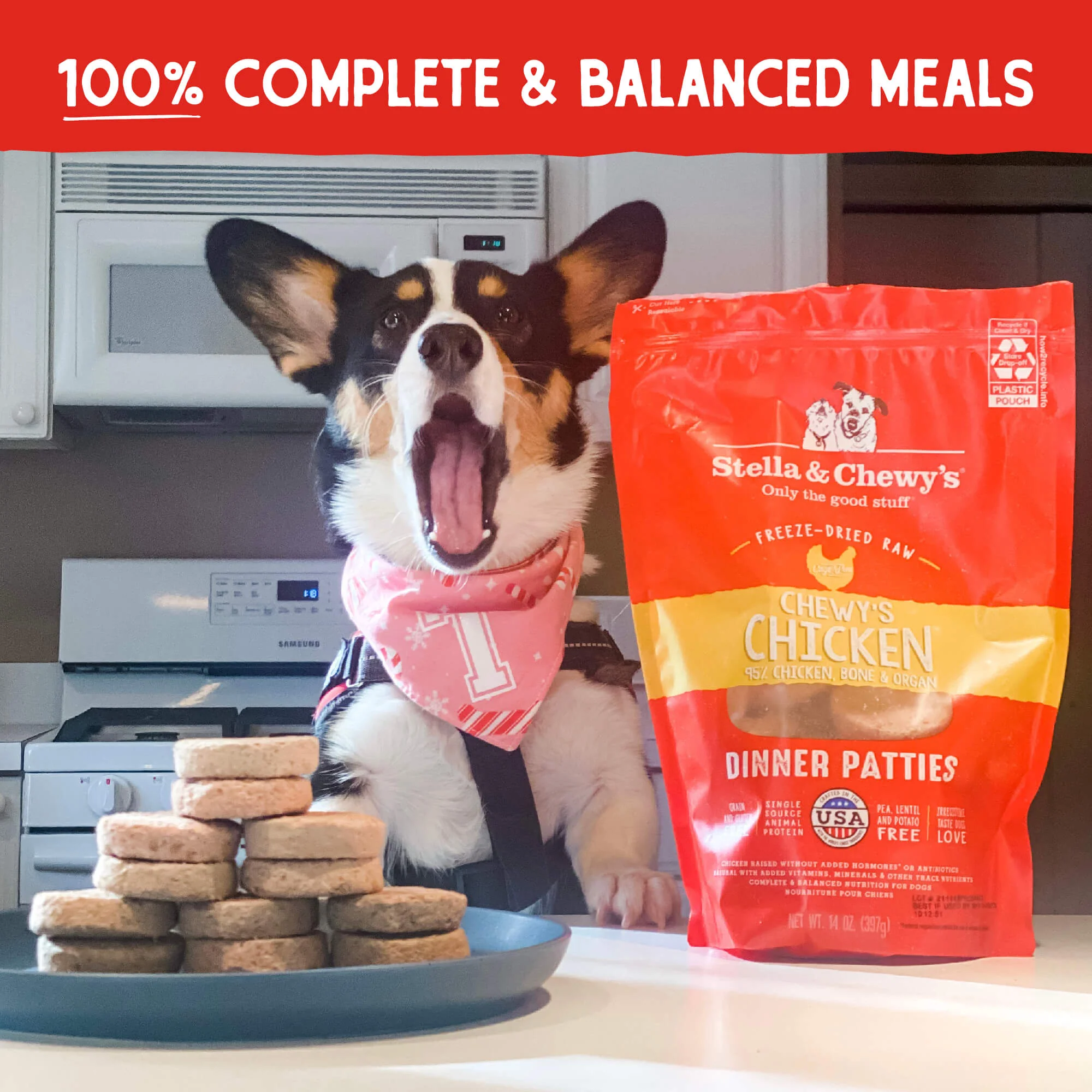 Freeze Dried Chewy's Chicken Dinner