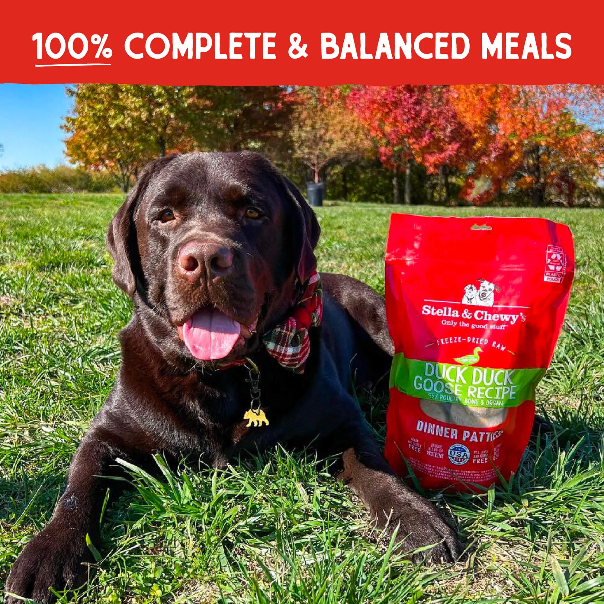 Freeze Dried Duck Duck Goose Dinner