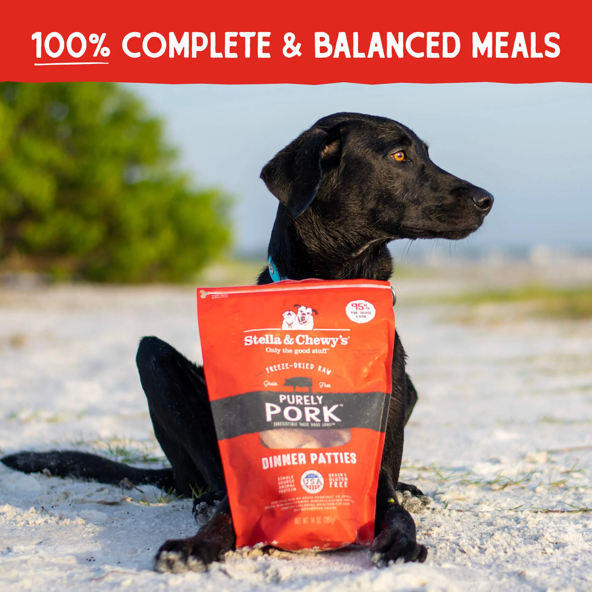 Freeze Dried Purely Pork Dinner