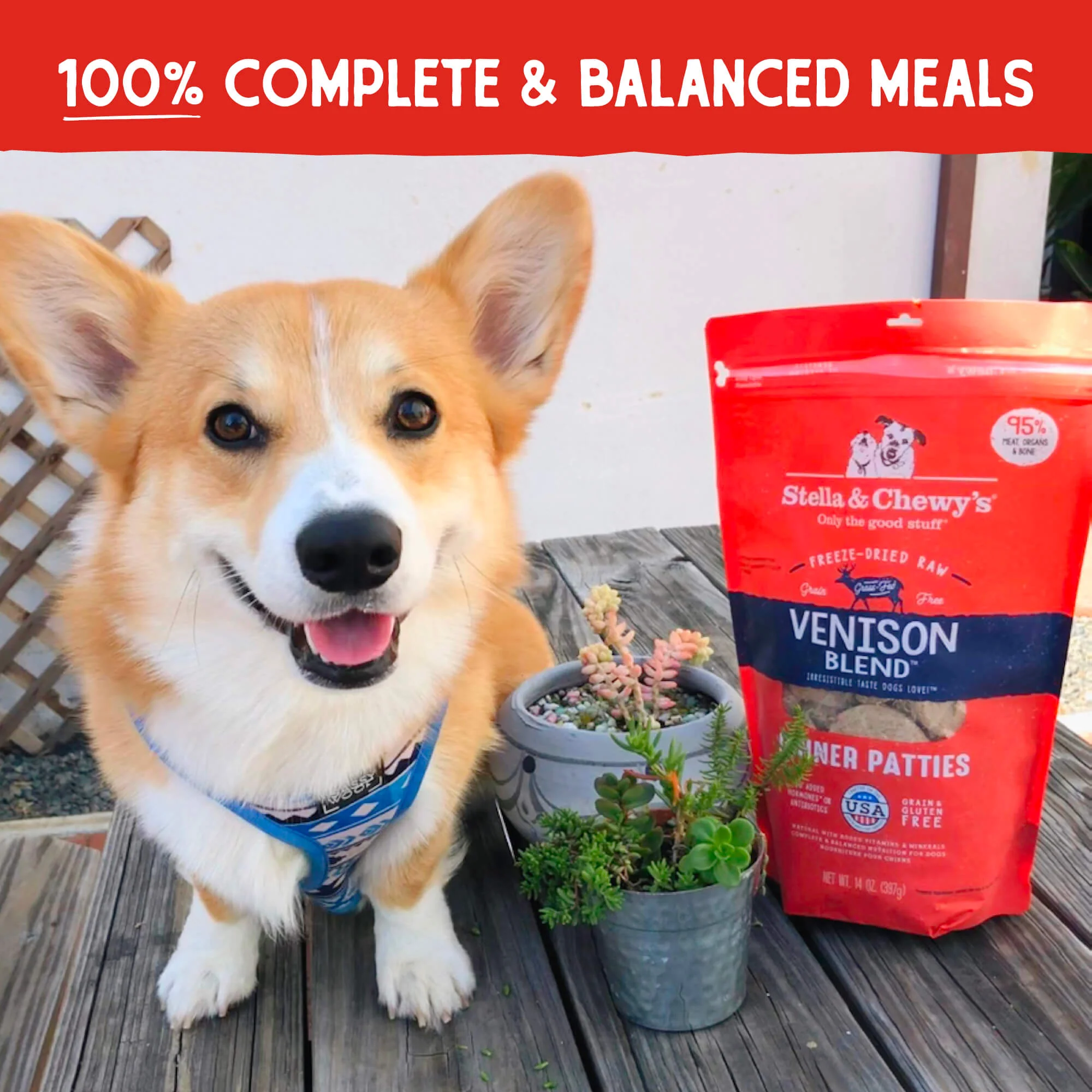 Freeze Dried Simply Venison Blend Dinner
