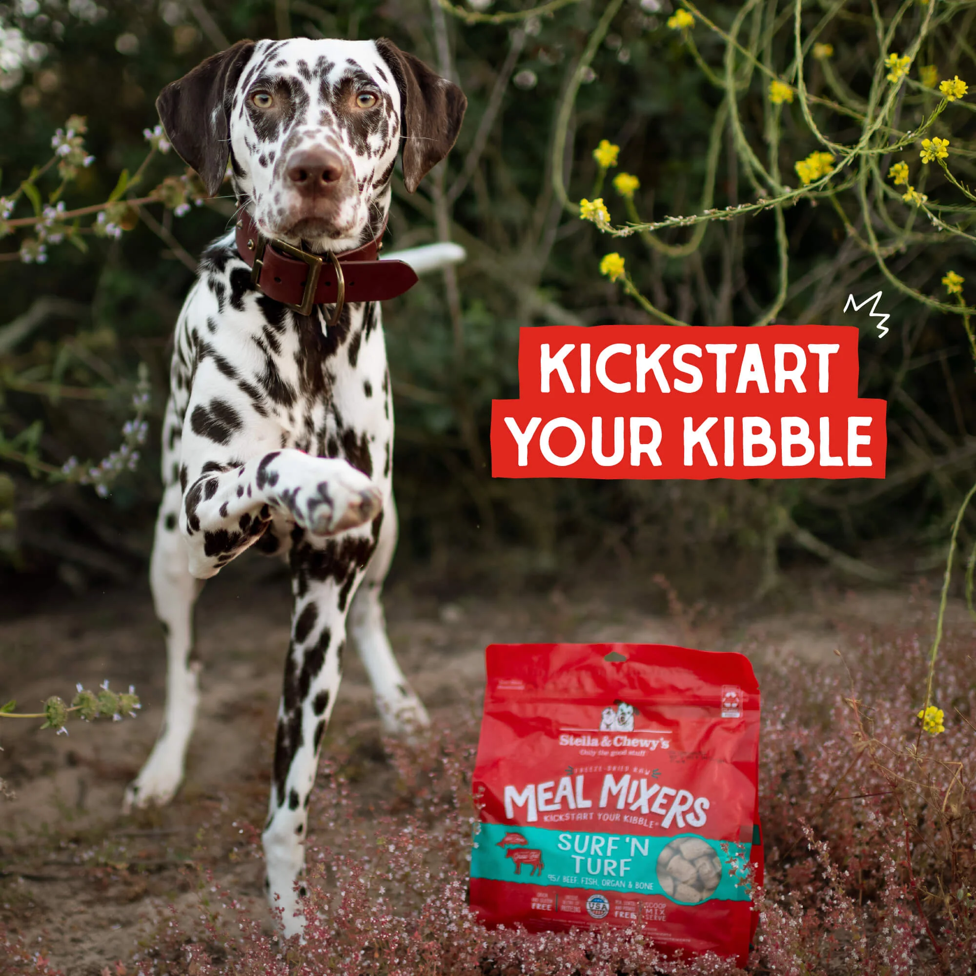 Freeze Dried Surf'n Turf Meal Mixer