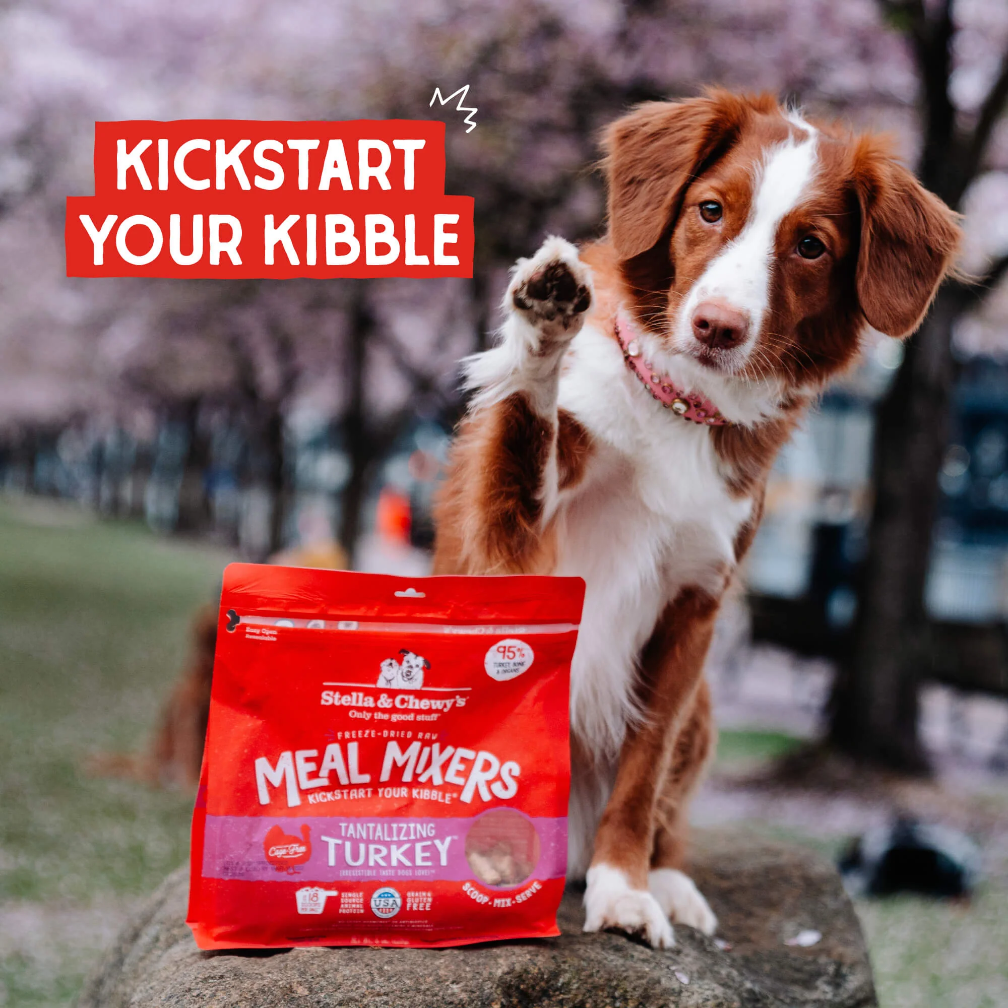 Freeze Dried Tantalizing Turkey Meal Mixer
