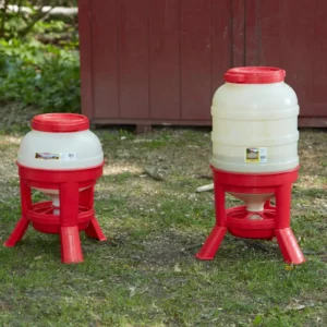 Plastic Dome Feeder