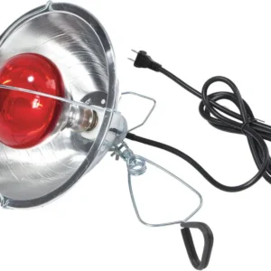 Brooder Reflector Lamp