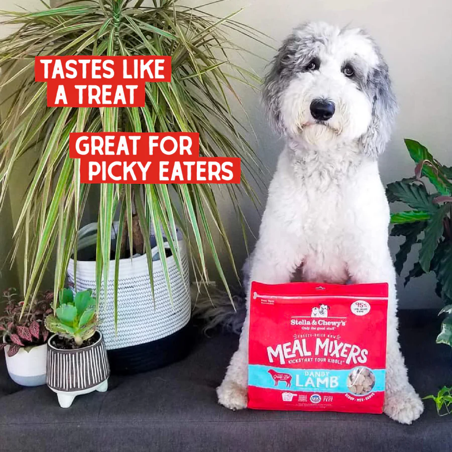 Freeze Dried Dandy Lamb Meal Mixer