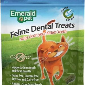 CAT DENTAL TREAT-CATNIP