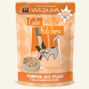 CITK PUMPKIN JACK SPLASH