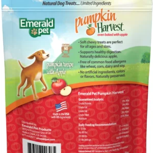 Pumpkin Harvest Apple Chewy Dog Treats