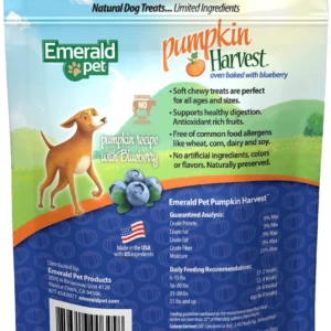 Pumpkin Harvest Blueberry Chewy Dog Treats