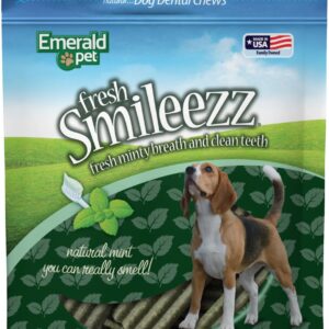 FRESH SMILEEZZ GF DENTAL TREAT