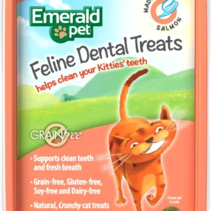 Dental Treat - Salmon Tub