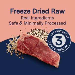 Canidae Pure Freeze-Dried Raw Beef, Barley & Quinoa