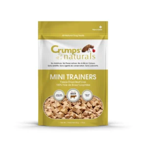 MINI TRAINERS FZ DRY BEEF LIVR