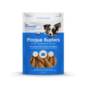 PLAQUEBUSTER PUMPKIN SPICE 7"