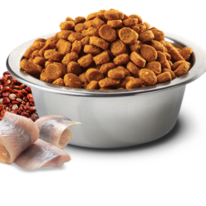 N&D QUINOA CAT S&C HERRING