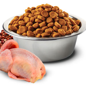 N&D QUINOA CAT S&C QUAIL