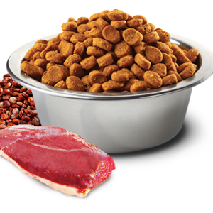N&D QUINOA CAT URINARY DUCK