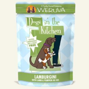 DITK LAMBURGINI - DOG