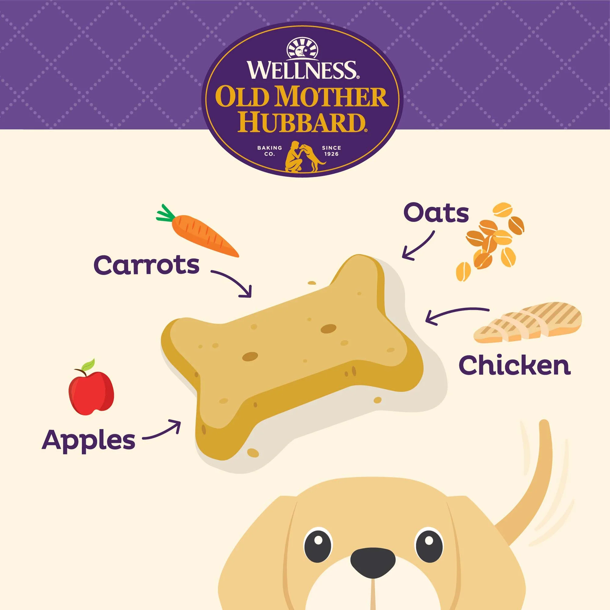 Special Recipe Puppy Mini Biscuits