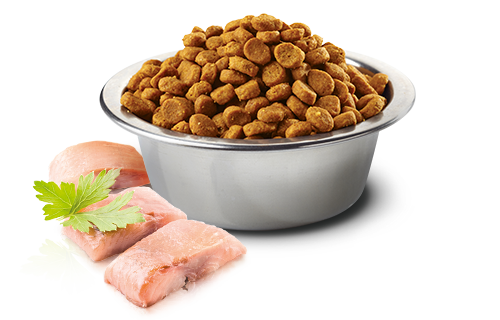 N&D OCEAN CAT HERRING