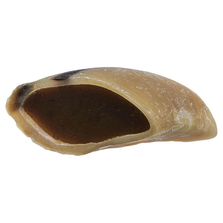 Filled Hoof Beef