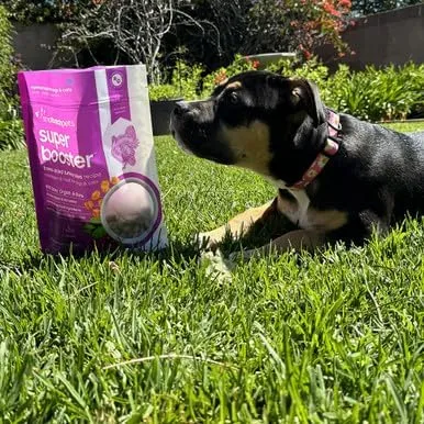 Freeze Dried Turkey Super Boosters