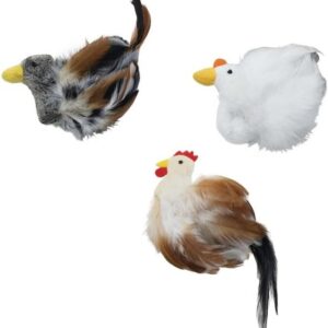 Birds of a Feather - Assorted