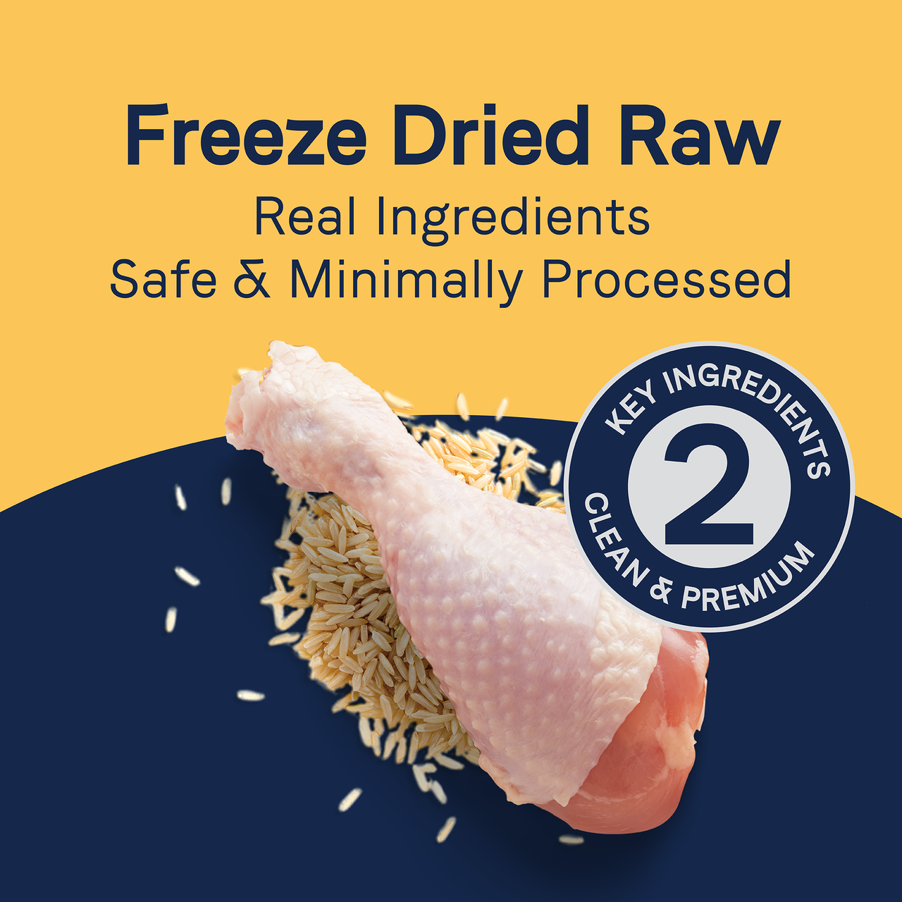 Canidae Pure Freeze-Dried Raw Chicken & Brown Rice
