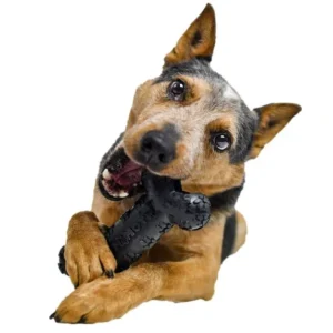 TireBiterII Bone w/ Treat Station - Large