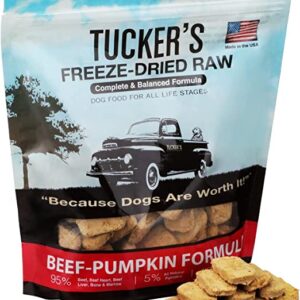 Freeze Dried Beef & Pumpkin