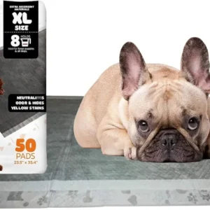 WizSmart Essentials Pads - Extra Large - Charcoal