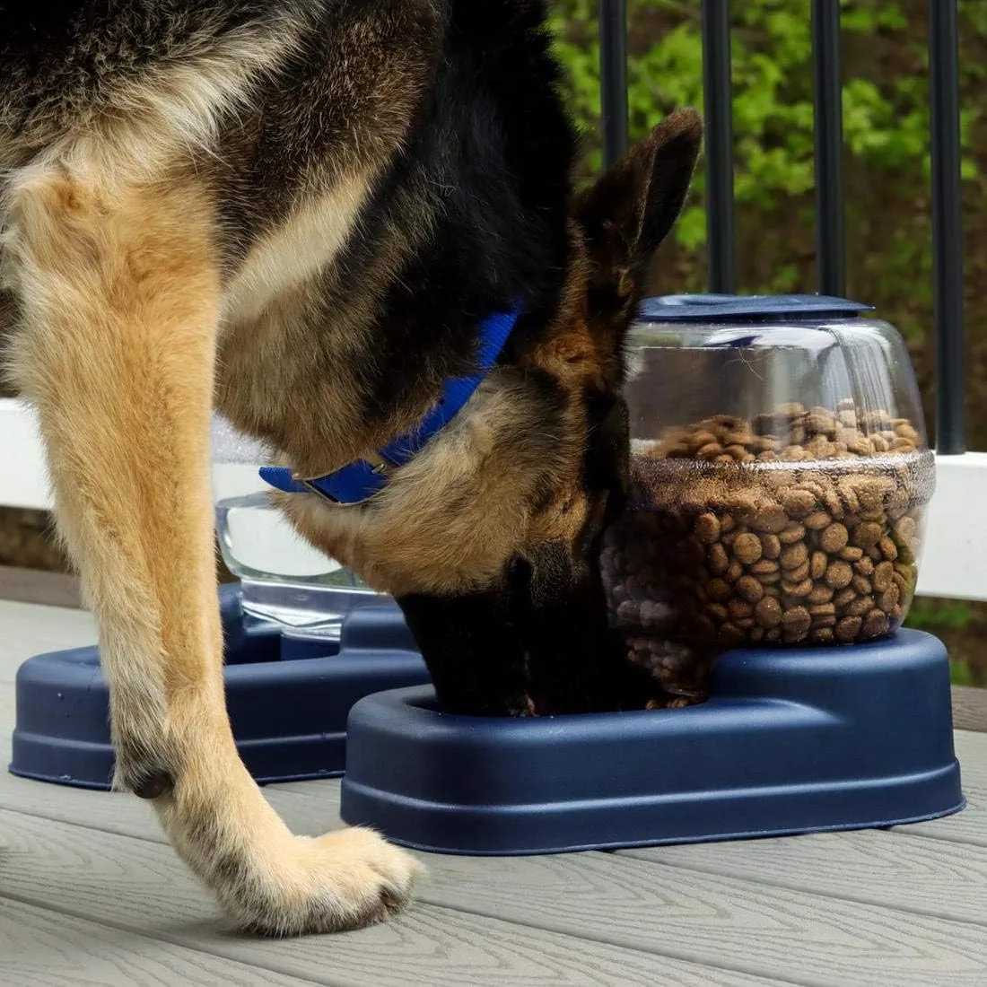 Petite Gourmet Feeder