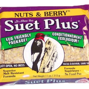 SUET PLUS-NUTS & BERRY